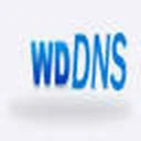 wdDNS 图标