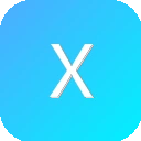 X站 图标