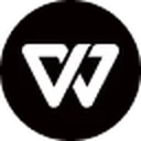 WPS文档 图标