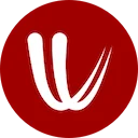 Windy 图标