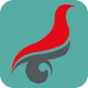 学籍学历查询 图标
