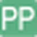 PaperPass 图标