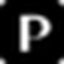 palette.fm 图标