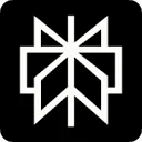 Perplexity AI 图标
