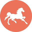 白马盘 图标
