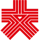 大公网 图标