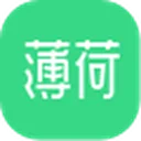 薄荷网 图标