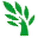 标准三围自测 图标