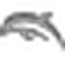 Dolphin Emulator 图标